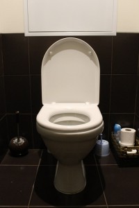 toilet-663707_960_720